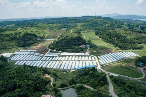 云浮現代農業(yè)產業(yè)園消防改造工程項目