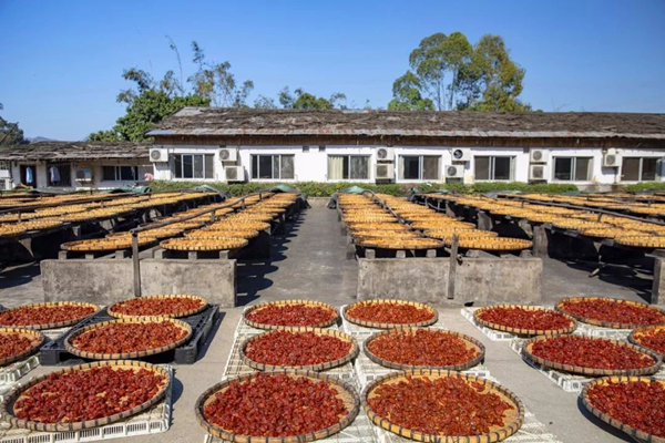 潮州廣式?jīng)龉S消防維保 潮州廣式?jīng)龉S消防維保